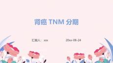 肾癌TNM分期ppt