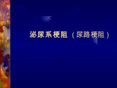 泌尿系梗阻 (尿路梗阻)【25页】