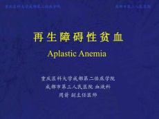 再生障碍性贫血教学