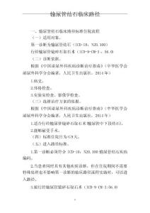 输尿管结石临床路径