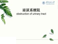 外科医学课件尿路梗阻【49页】