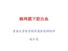 蛛网膜下腔出血课件