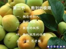 高數(shù)同濟(jì)五版第一章第二節(jié)