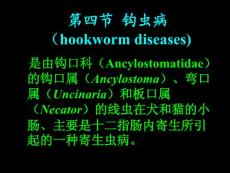 钩虫病hookwormdiseases是由钩口科Ancylostomatidae