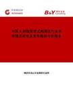 中国X射线穿透式检测仪行业市场情况研究及竞争格局分析报告市场调研在线