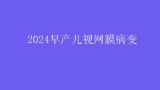 早产儿视网膜病变2024课件