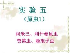 阿米巴利什曼原虫贾第虫隐孢子虫