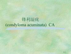 尖锐湿疣医疗培训课件