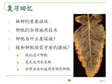植物的微量元素营养与微量元素肥料培训课件