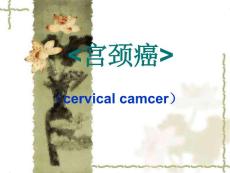 宫颈癌课件