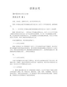 擔保合同-專業文檔!