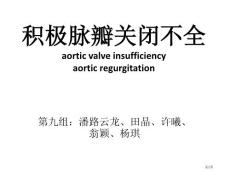 主动脉瓣关闭不全培训课件