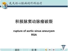 主动脉窦瘤破裂培训课件