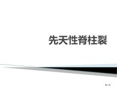 先天性脊柱裂培训课件培训课件