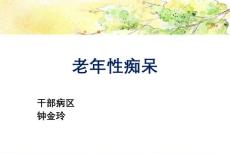 老年痴呆【19页】