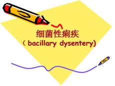 细菌性痢疾【21页】