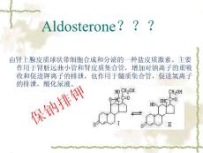 原发性醛固酮增多症PrimaryAldosteronism