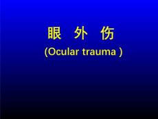 眼外伤【52页】