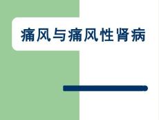 痛风与痛风性肾病【77页】