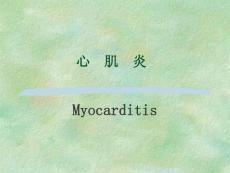 心肌炎病课件