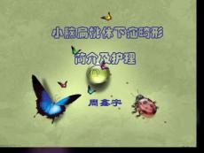 小脑扁桃体下疝畸形培训课件