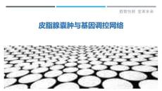皮脂腺囊肿与基因调控网络