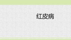 红皮病专业知识培训课件
