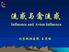流感和禽流感培训课件