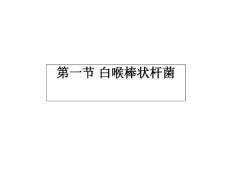 白喉棒状杆菌培训课件