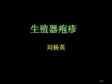 生殖器疱疹专题知识培训