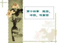 烧伤冷伤咬螫伤
