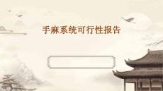 2024年手麻系统可行性报告