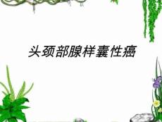头颈部腺样囊性癌【16页】
