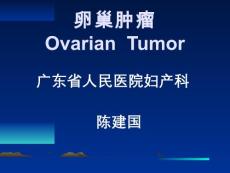 卵巢肿瘤【46页】