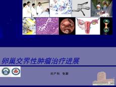 卵巢肿瘤【36页】