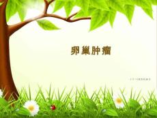 卵巢肿瘤【30页】