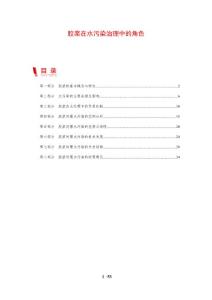 胶浆在水污染治理中的角色