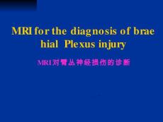 臂丛神经损伤MRI【23页】