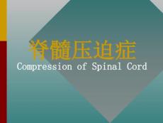 脊髓压迫症讲义带图培训课件
