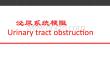外科学课件泌尿系统梗阻尿路梗阻培训课件