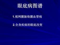 眼底病图谱
