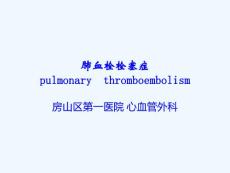 肺栓塞课件个人精编结合肺栓塞诊疗指南