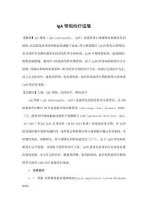 IgA肾病治疗进展