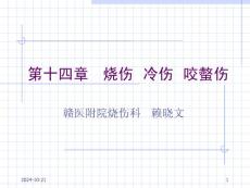 烧伤冷伤咬螫伤PPT培训课件