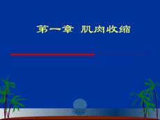 肌肉收缩PPT培训课件