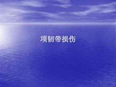 项韧带损伤课件