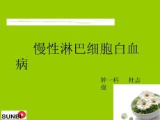 慢性淋巴细胞白血病PPT培训课件