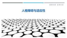 人格障碍与适应性