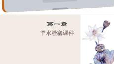 《羊水栓塞》课件