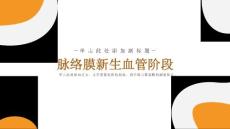 脉络膜新生血管阶段